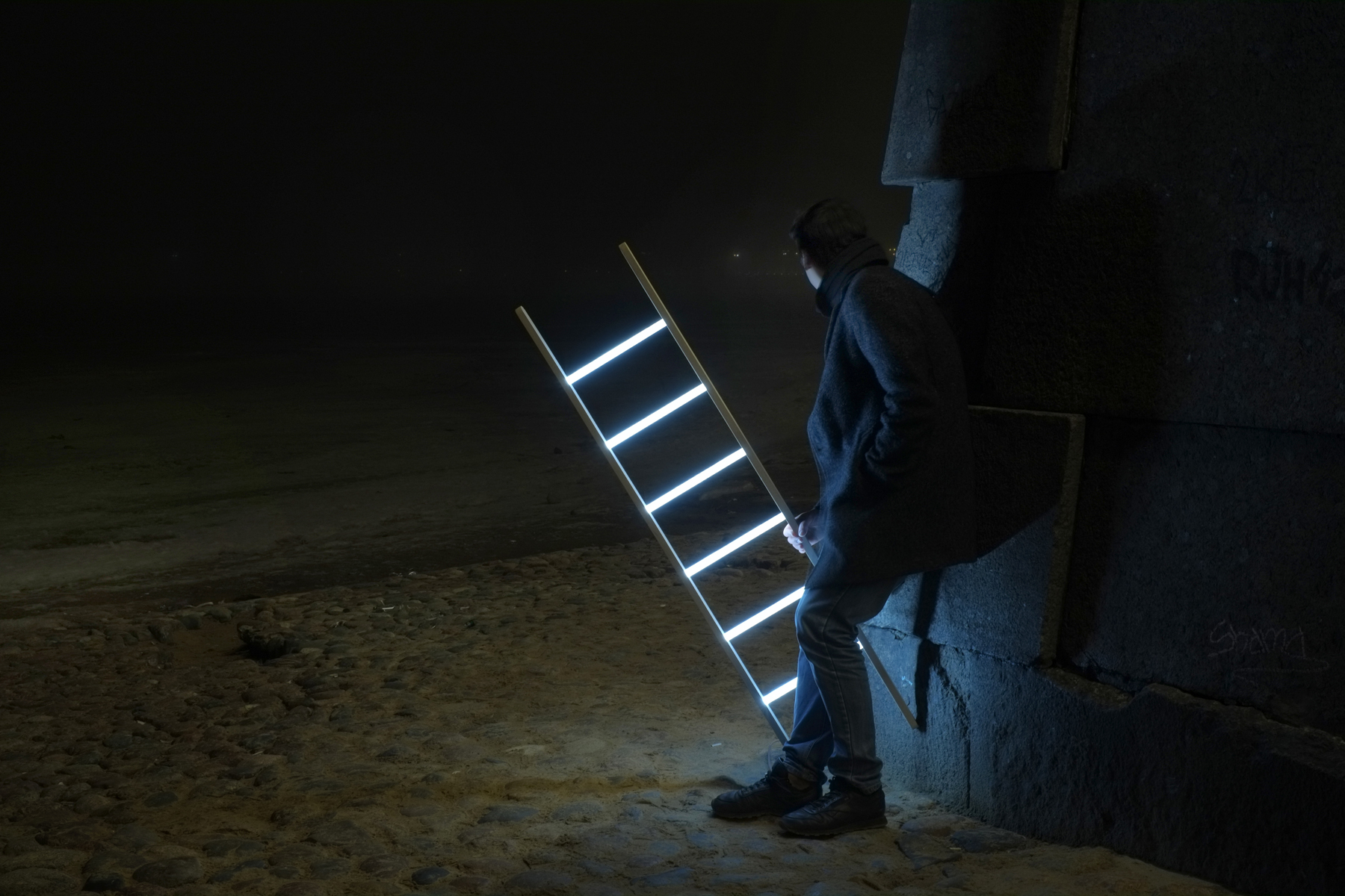 The Ladder By Max Bataev