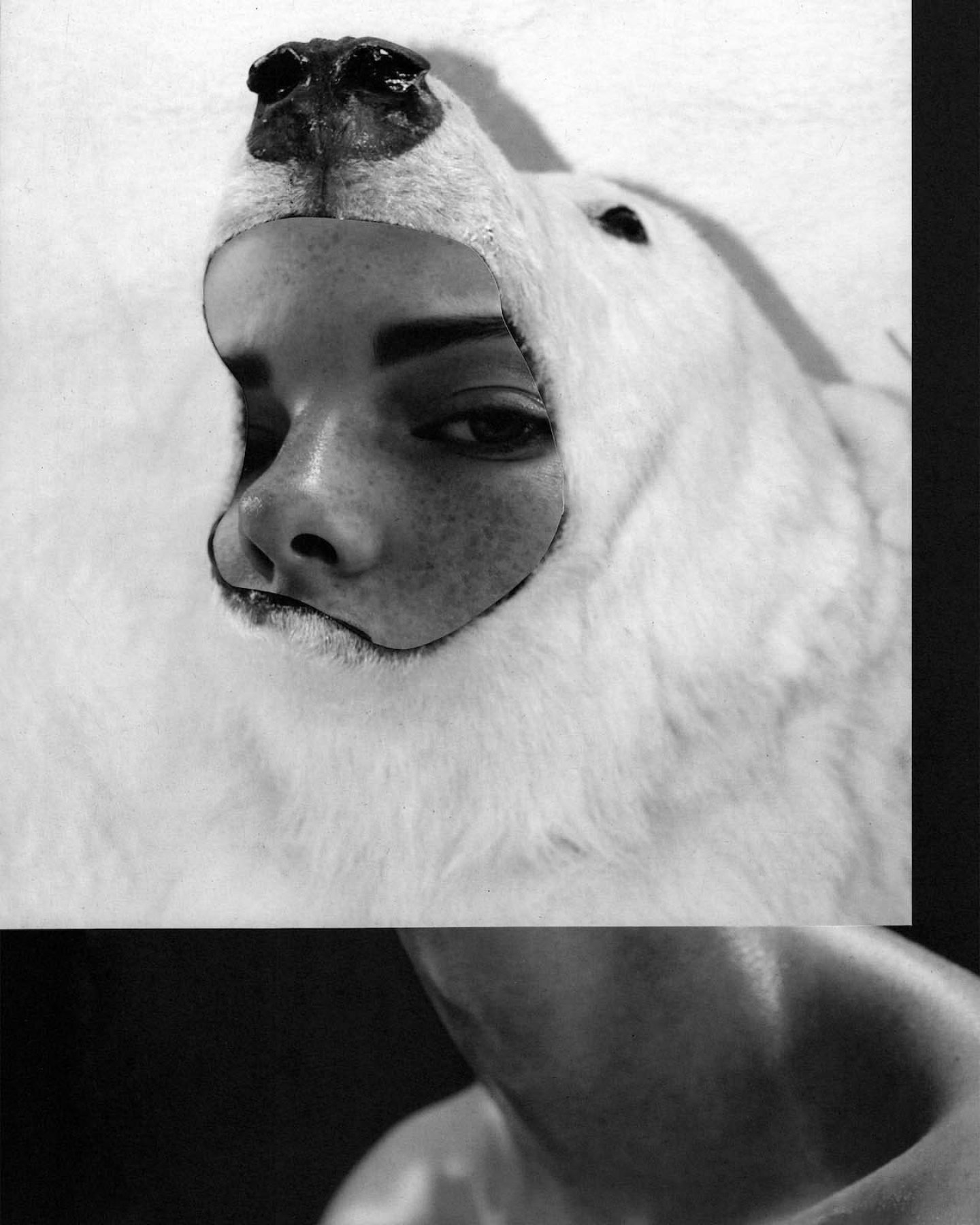 Art_Jesse_Draxler_Eerie_Collages_12