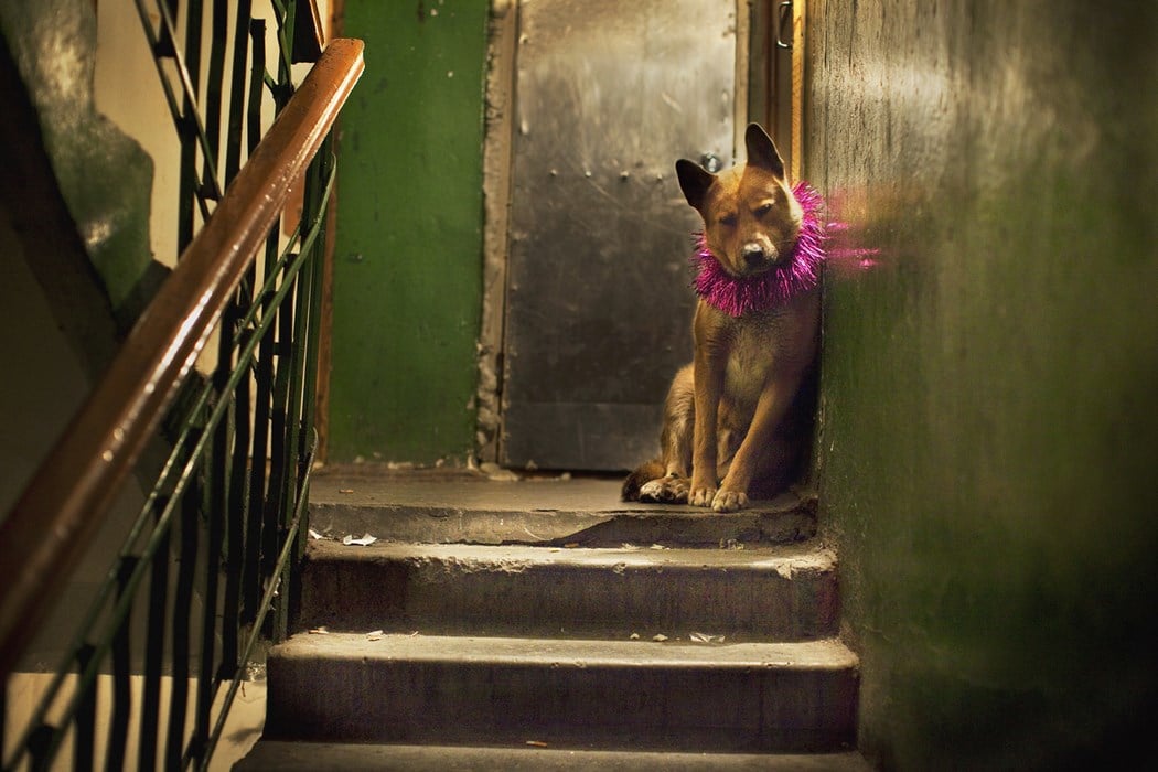 Eugenia_Arbugaeva_Photography (14)