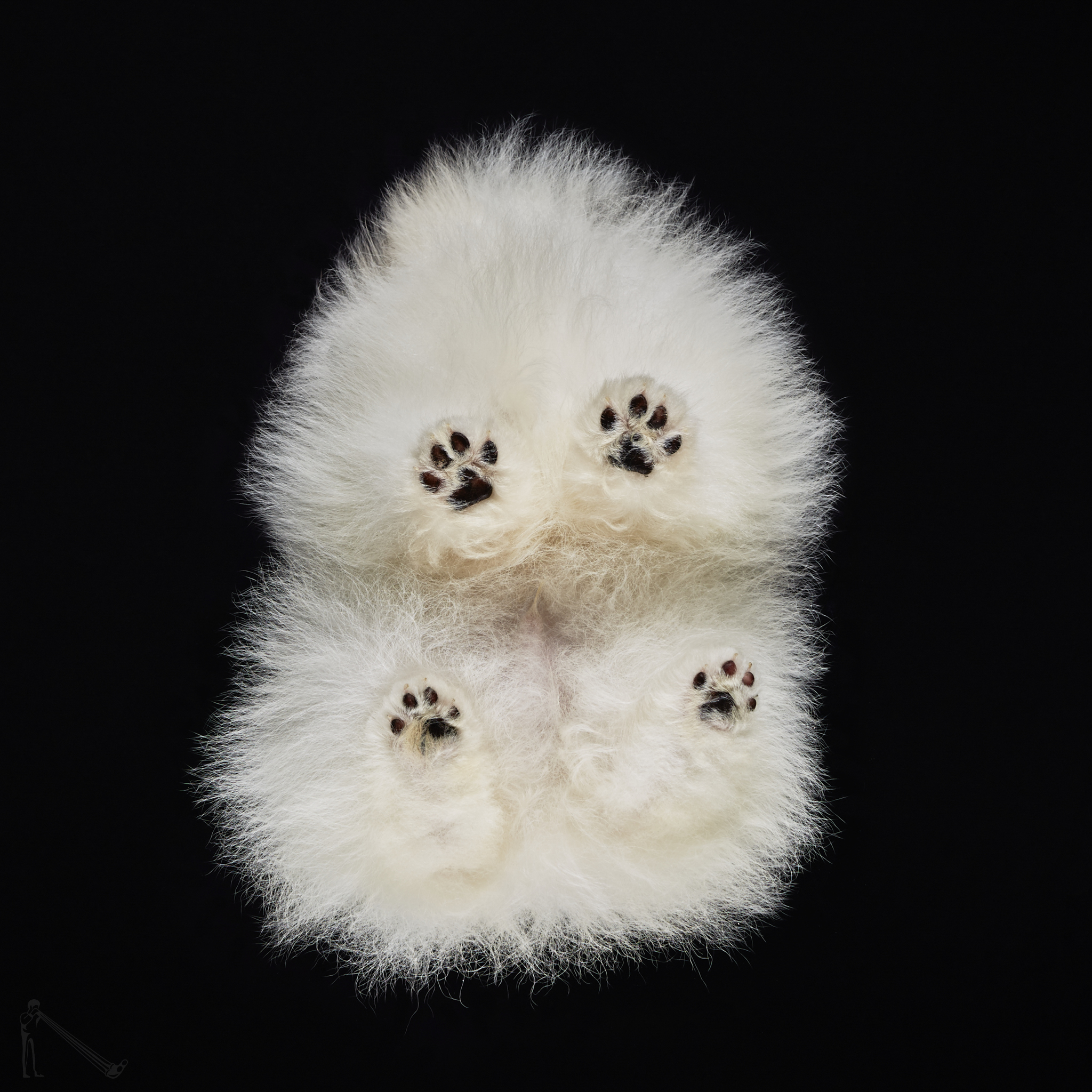 Andrius Burba / Under-Dogs