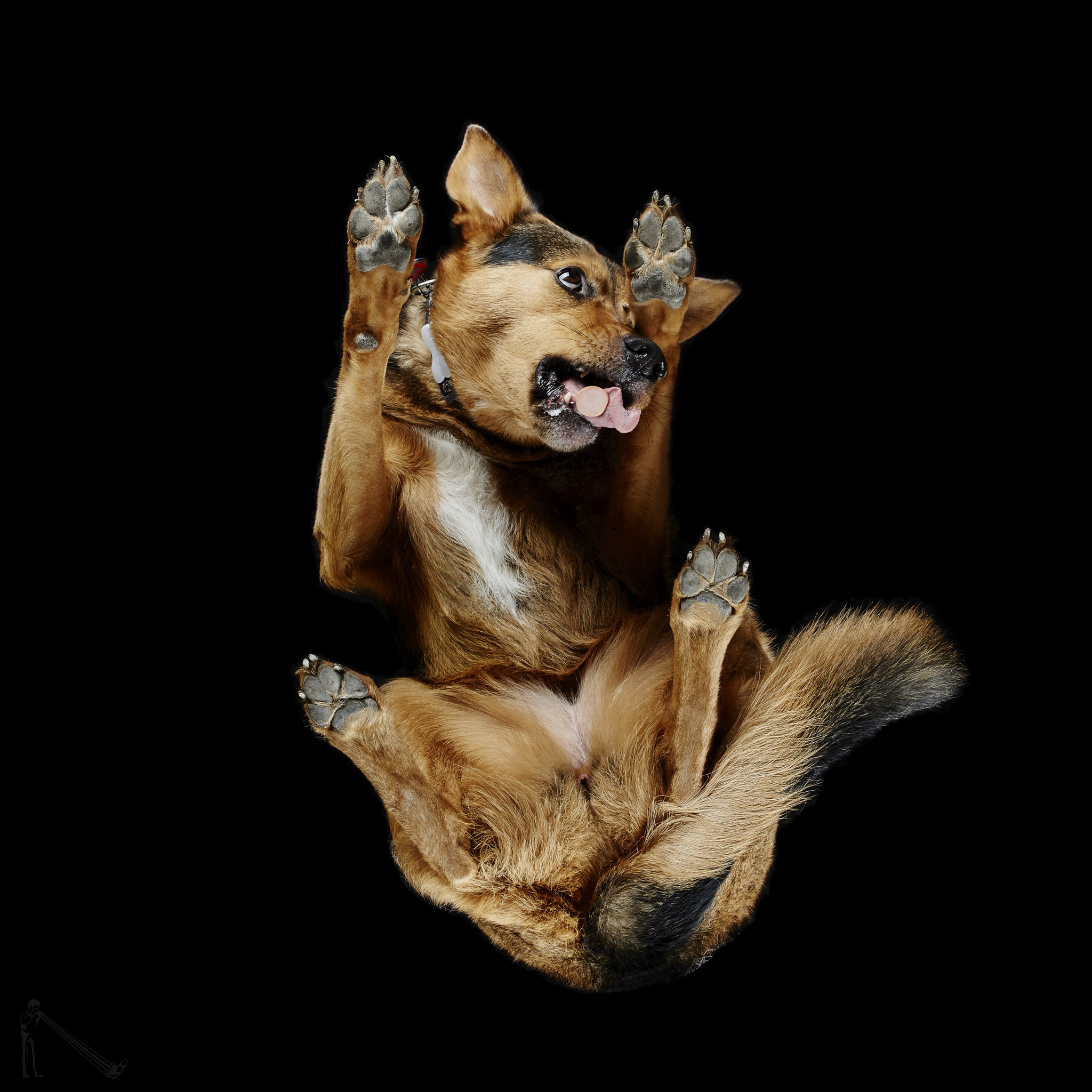 Andrius Burba / Under-Dogs