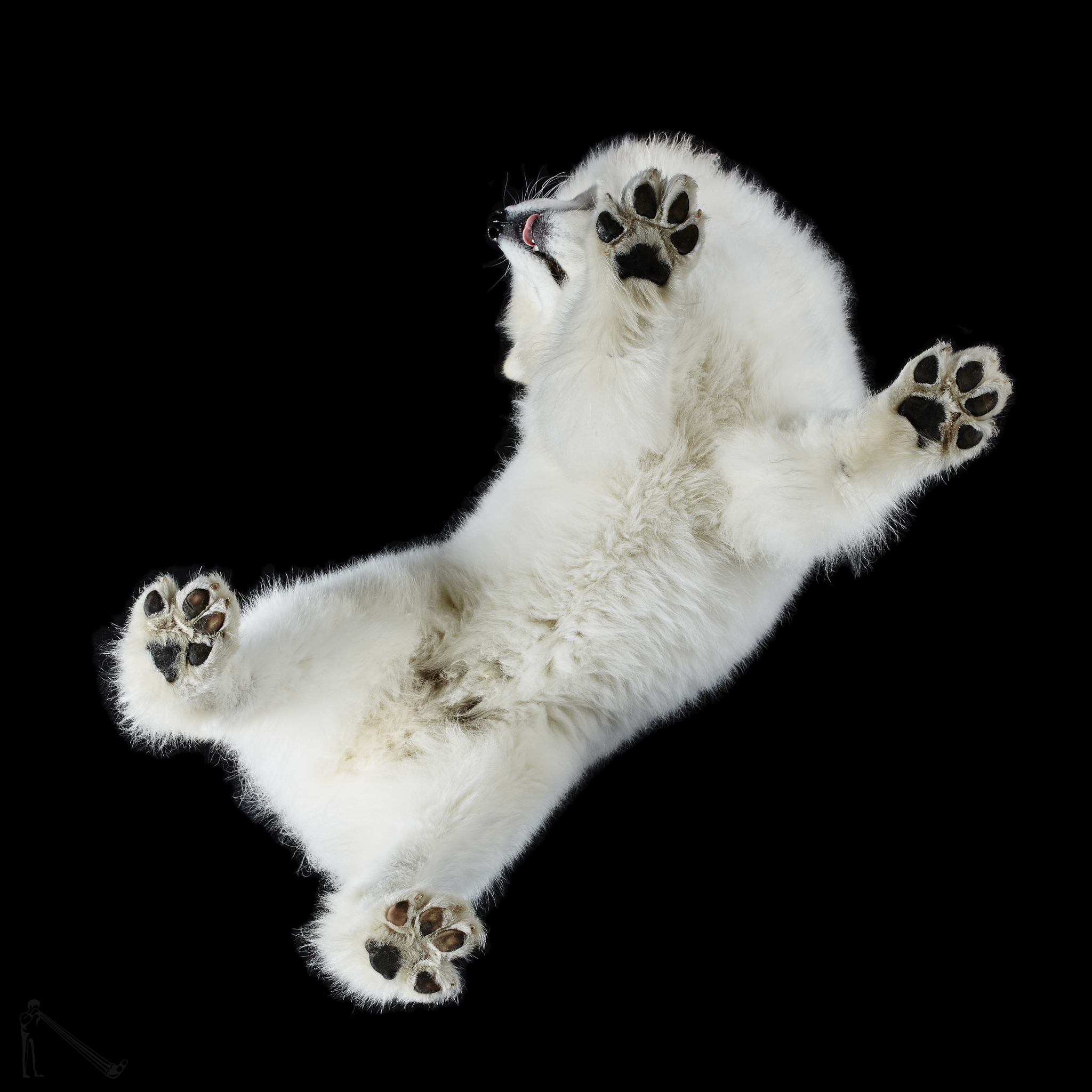 Andrius Burba / Under-Dogs