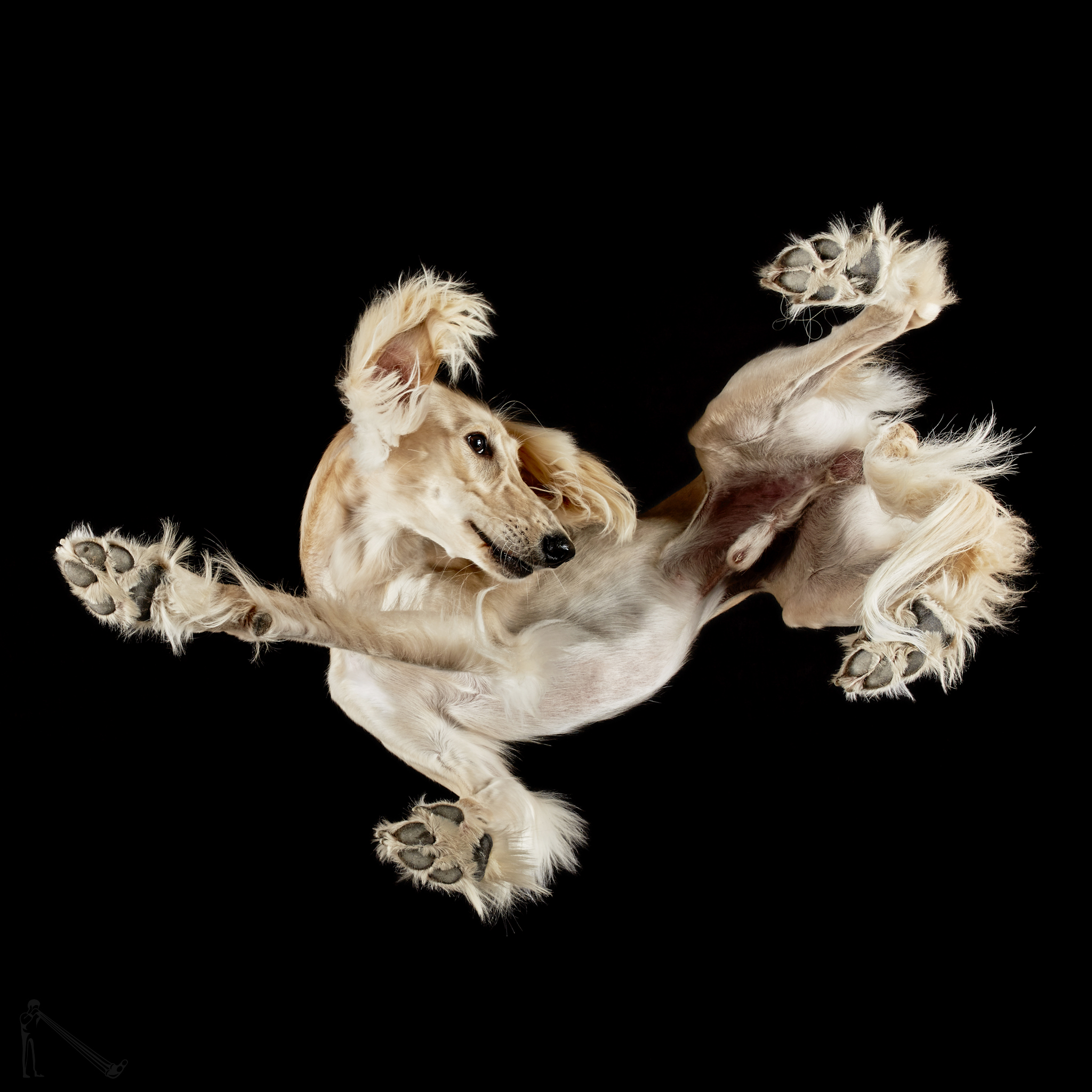 Andrius Burba / Under-Dogs