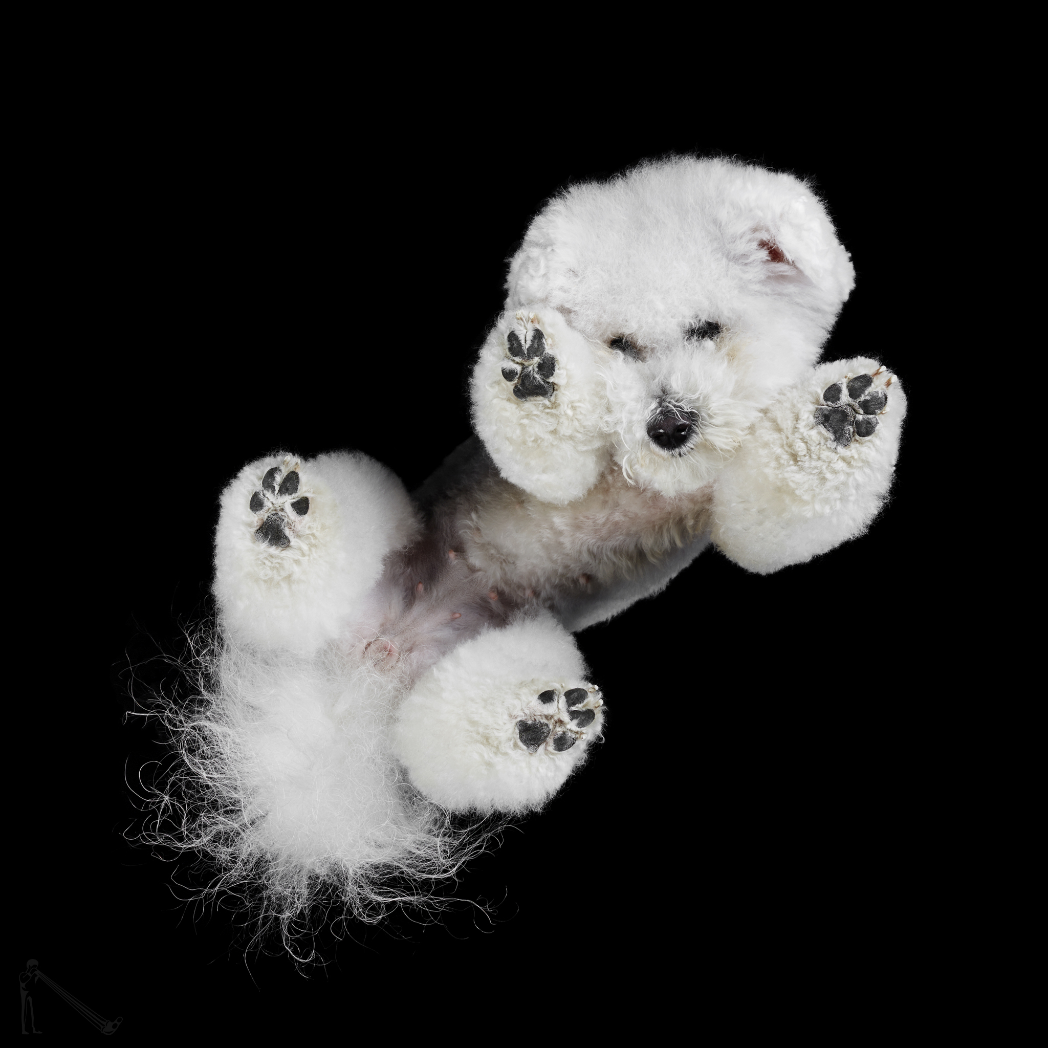 Andrius Burba / Under-Dogs