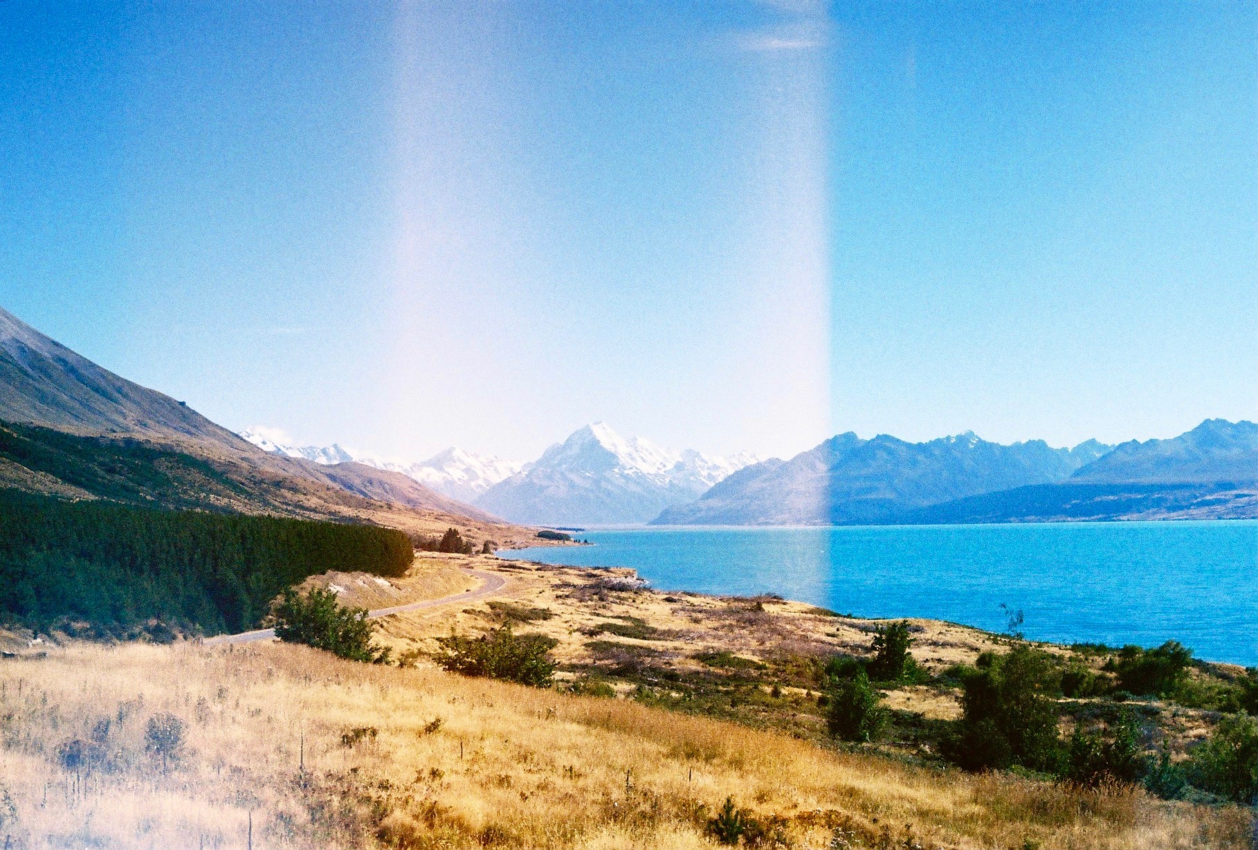 Wild New Zealand By Hannah Reynolds