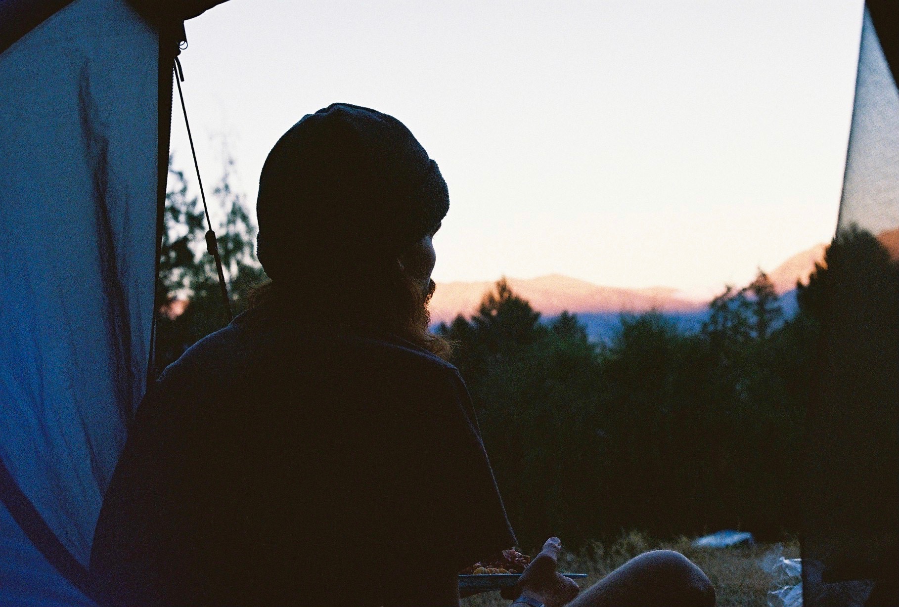 Wild New Zealand By Hannah Reynolds
