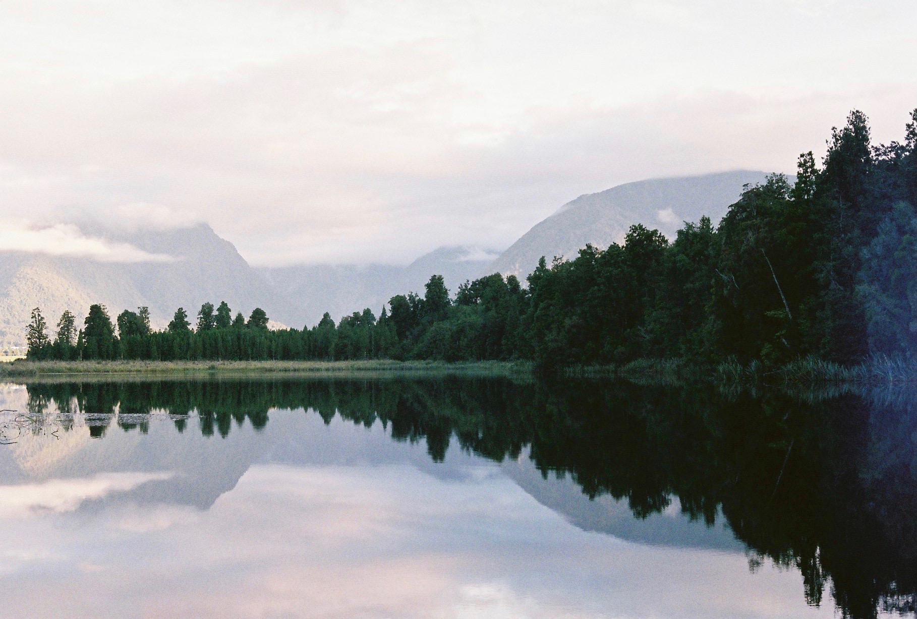Wild New Zealand By Hannah Reynolds
