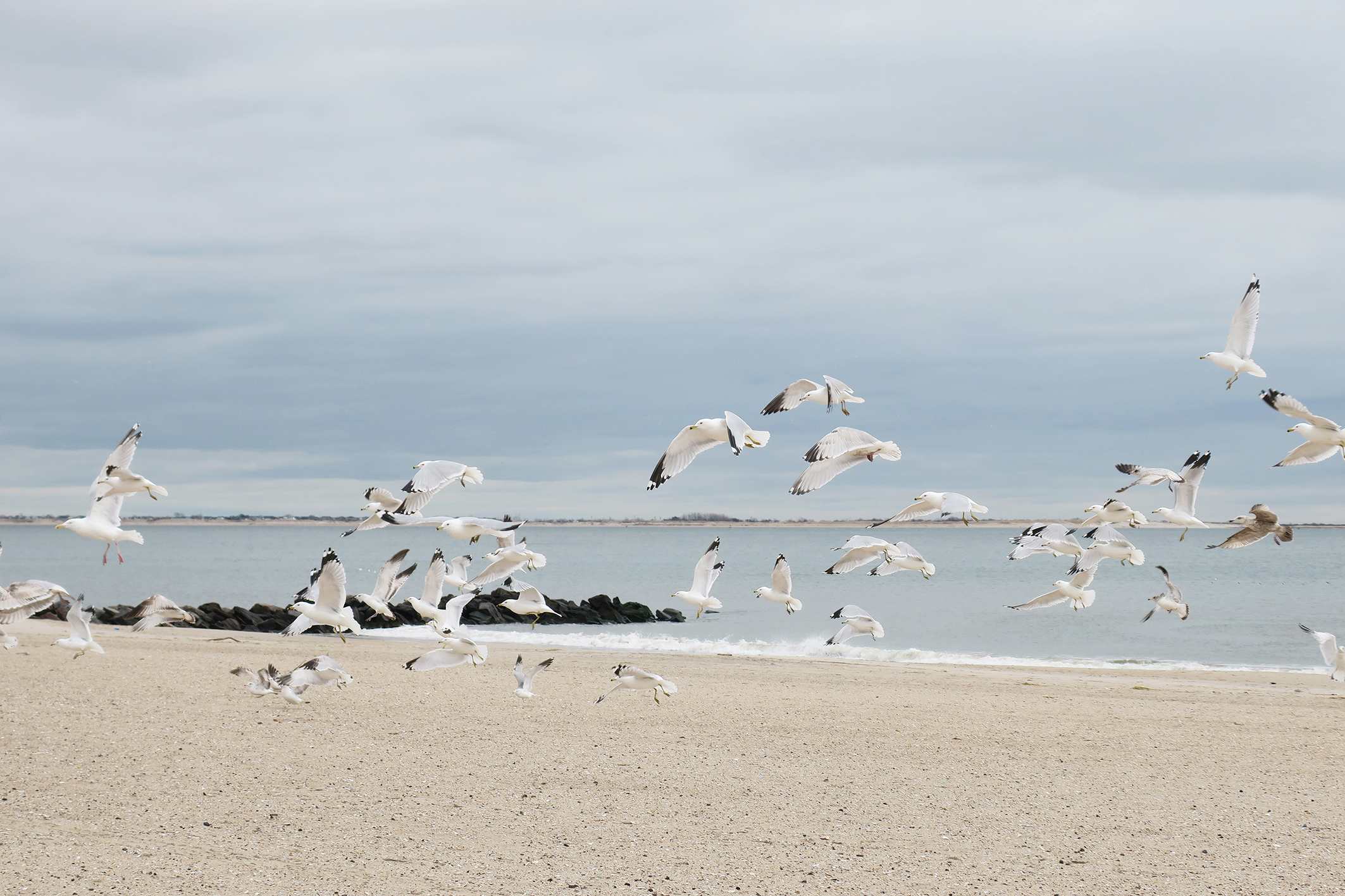 Lonely Island By Helin Bereket