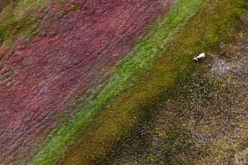 South_Africa_Aerial_Zack_Seckler