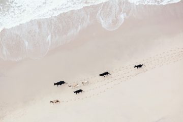 South_Africa_Aerial_Zack_Seckler-6