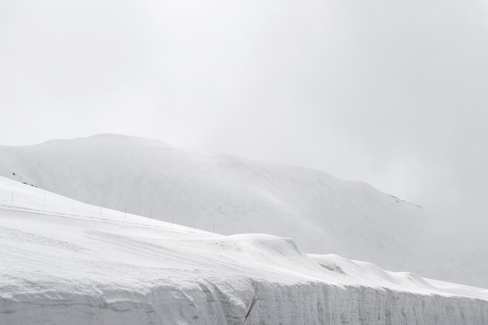 Frozen Japan By Lucie Palombi