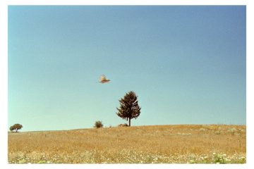 2017-05-01_59070a4a3a3de_020-web.jpg