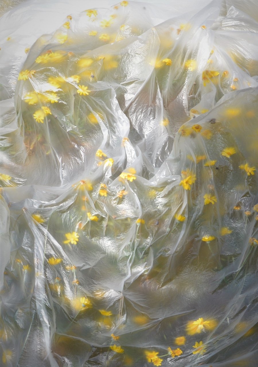 Plastic Landscape By Ana Férias