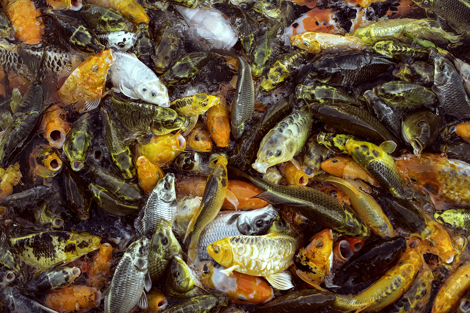 Fantasma Personal By Julio García