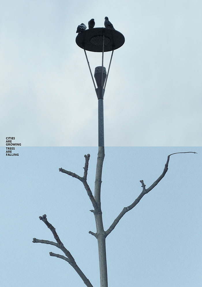 Concrete Trees By Kateryna Zabusova