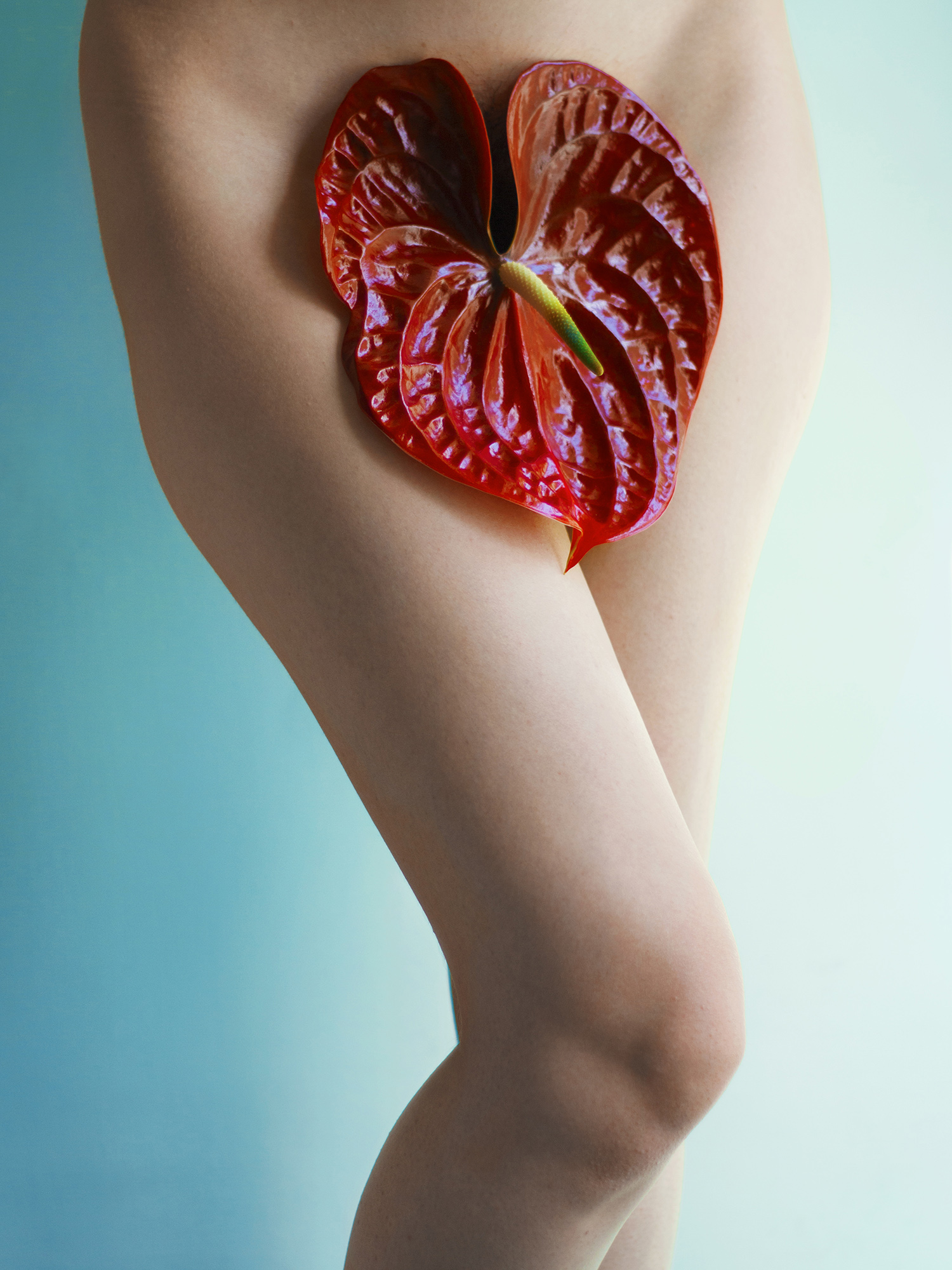 Fine Art By Elnaz Abedi