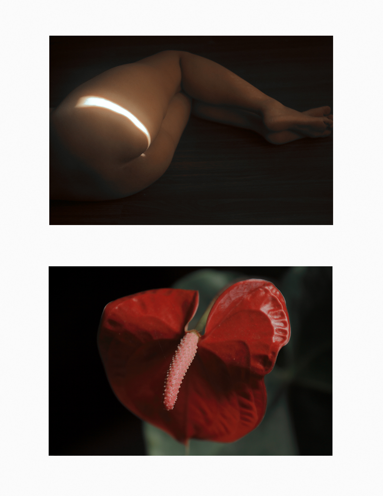 The Voyeur By Mad Paule