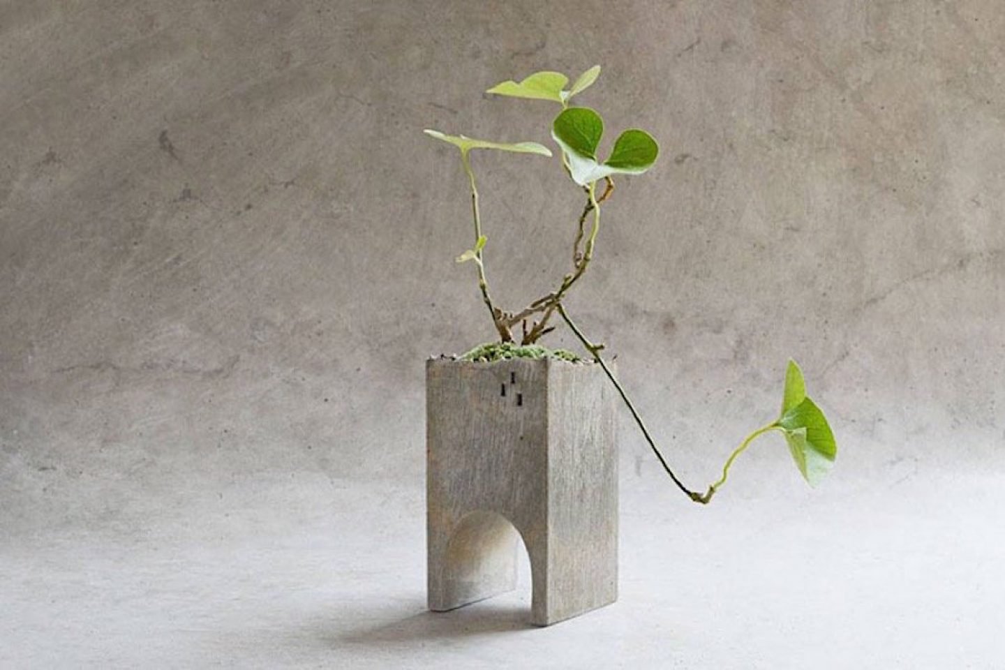 Design_Truss_Planter_Pull_Push_03