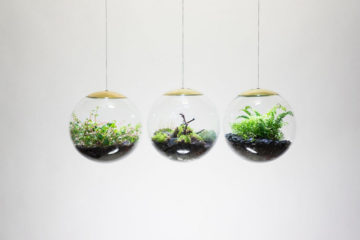 FI_Terrarium