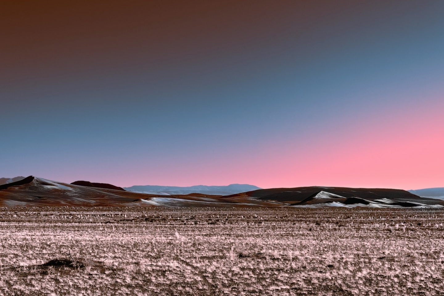 iGNANT_Photography_Stefano_Gardel_Neon_Desert_3