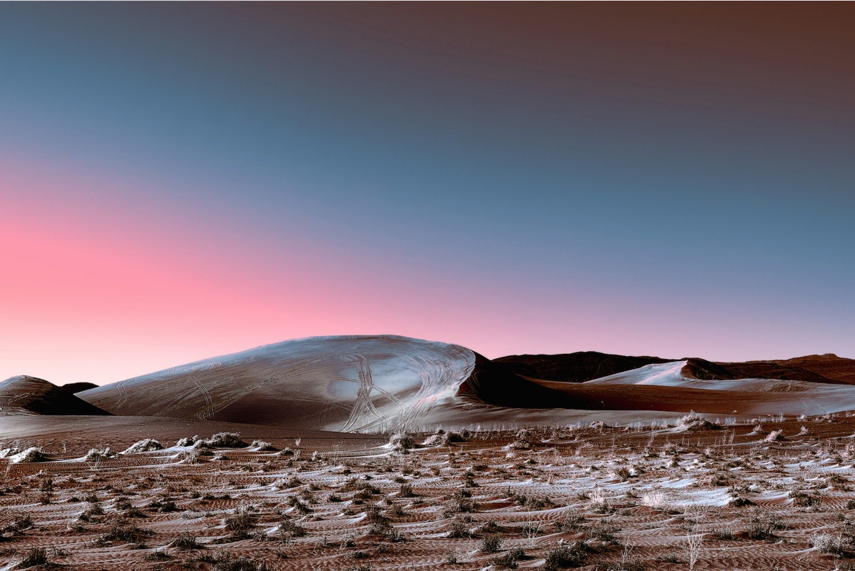 iGNANT_Photography_Stefano_Gardel_Neon_Desert_5