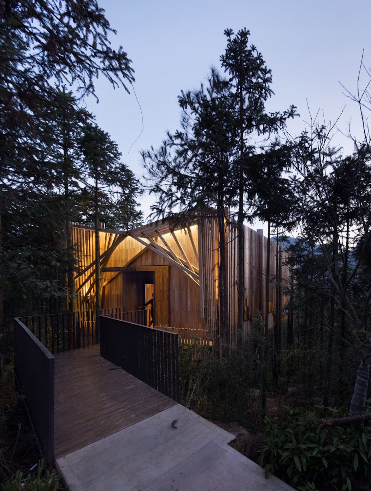 ignant_arch_treehouse_m_012