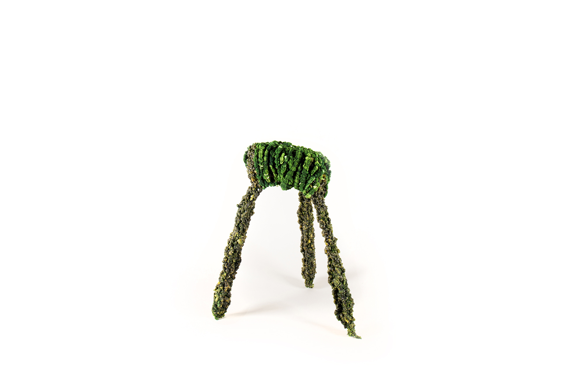 Overgrown Objects By Felix Poettinger