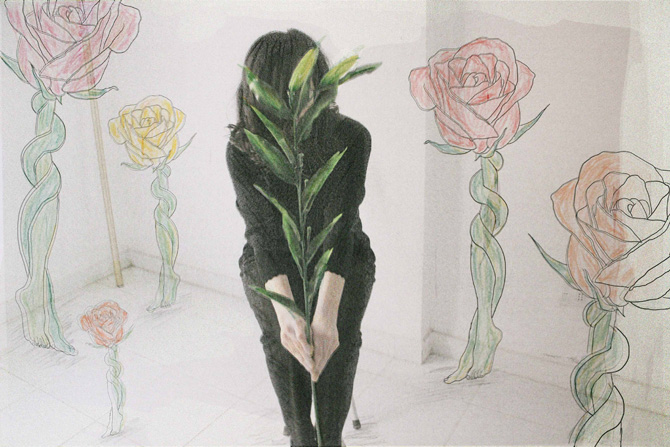 The Language Of Flowers