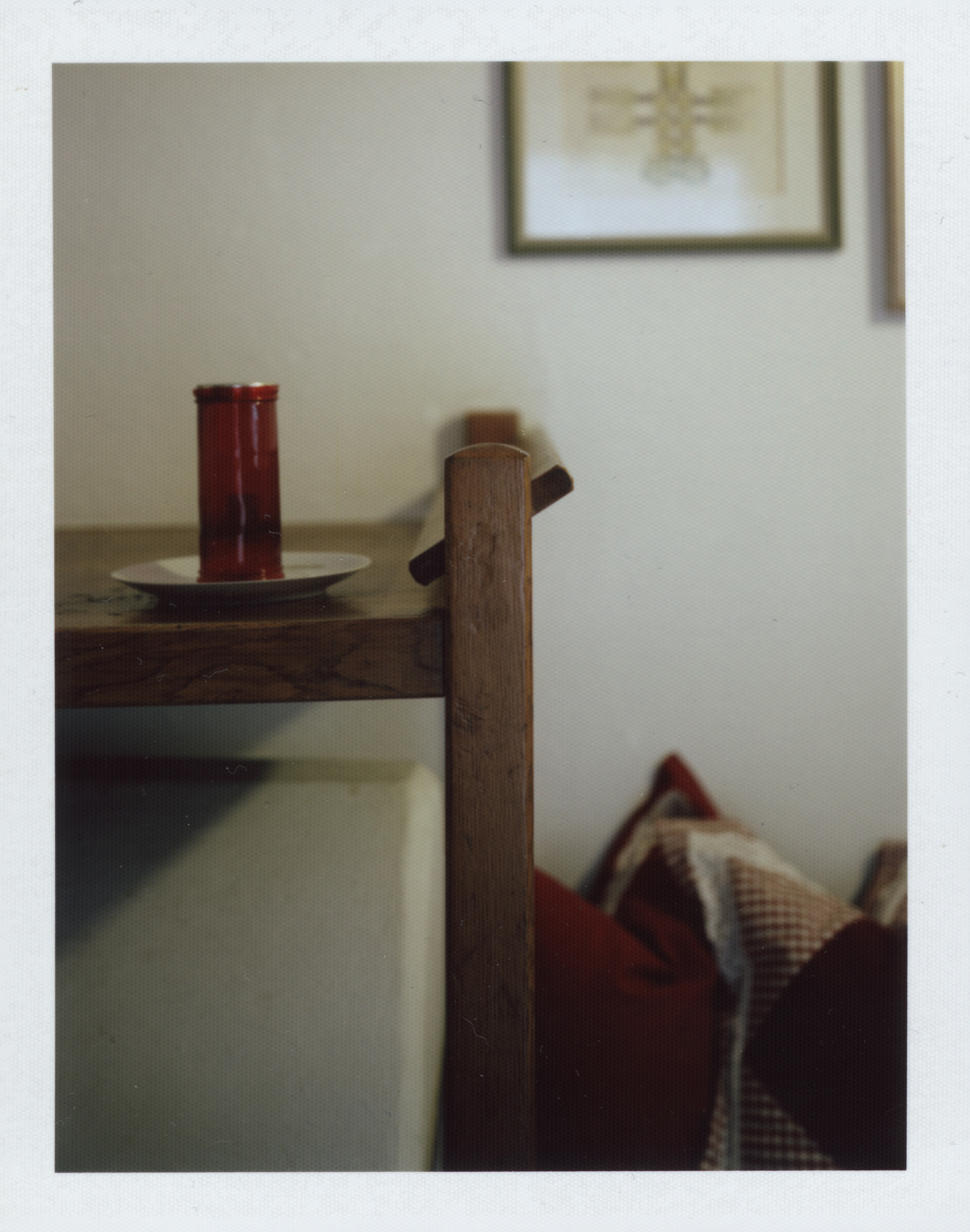 Portrait Of A house By Emilian Hinteregger