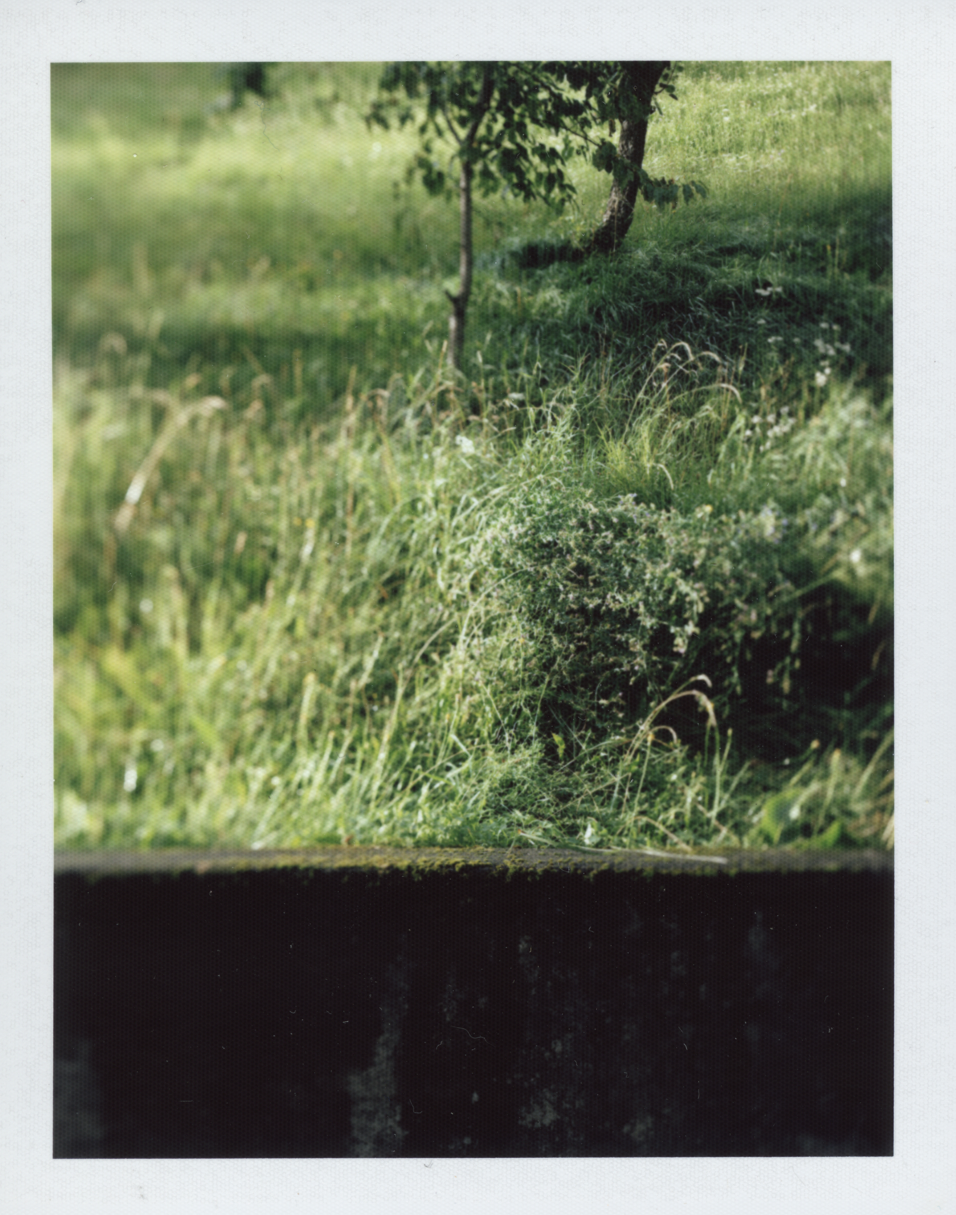 Portrait Of A house By Emilian Hinteregger