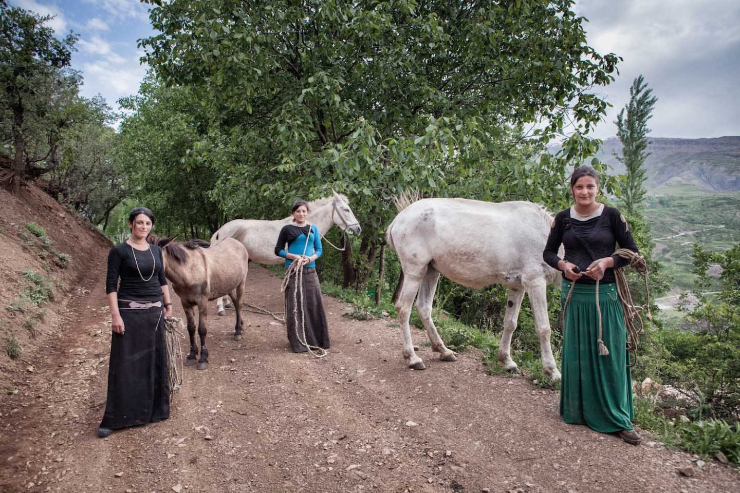 The Sisters and Horses.