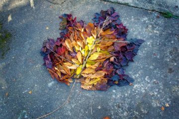 iGNANT_Photography_Andy_Goldsworthy_Land_Art_1