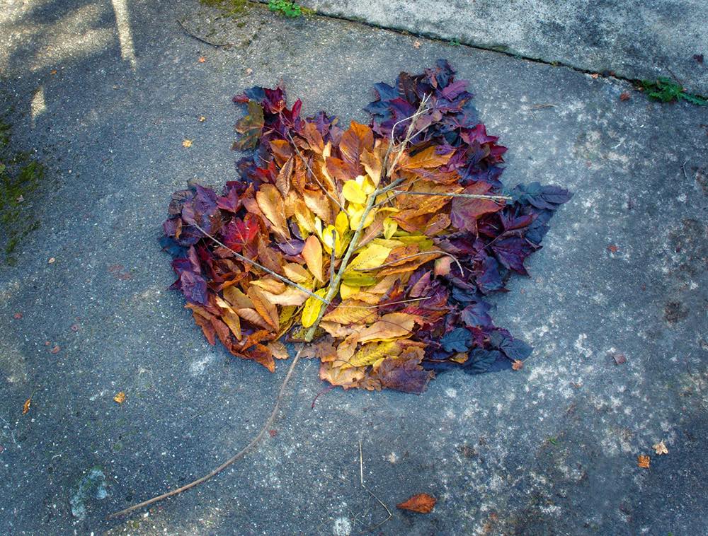 iGNANT_Photography_Andy_Goldsworthy_Land_Art_1