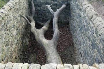 iGNANT_Photography_Andy_Goldsworthy_Land_Art_2