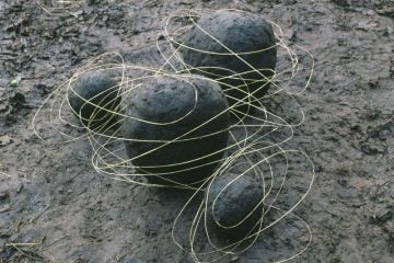 iGNANT_Photography_Andy_Goldsworthy_Land_Art_3