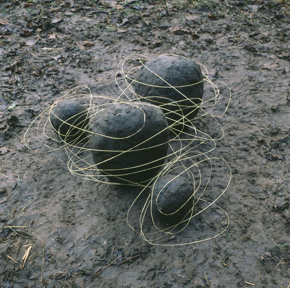 iGNANT_Photography_Andy_Goldsworthy_Land_Art_3