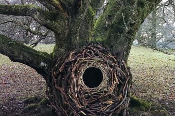 iGNANT_Photography_Andy_Goldsworthy_Land_Art_5