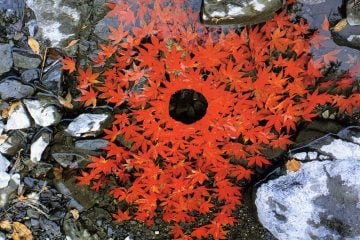 iGNANT_Photography_Andy_Goldsworthy_Land_Art_6