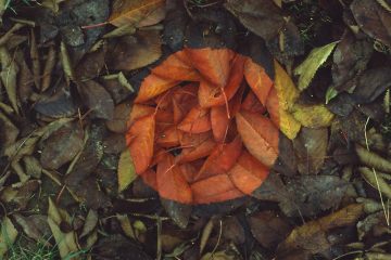 iGNANT_Photography_Andy_Goldsworthy_Land_Art_8