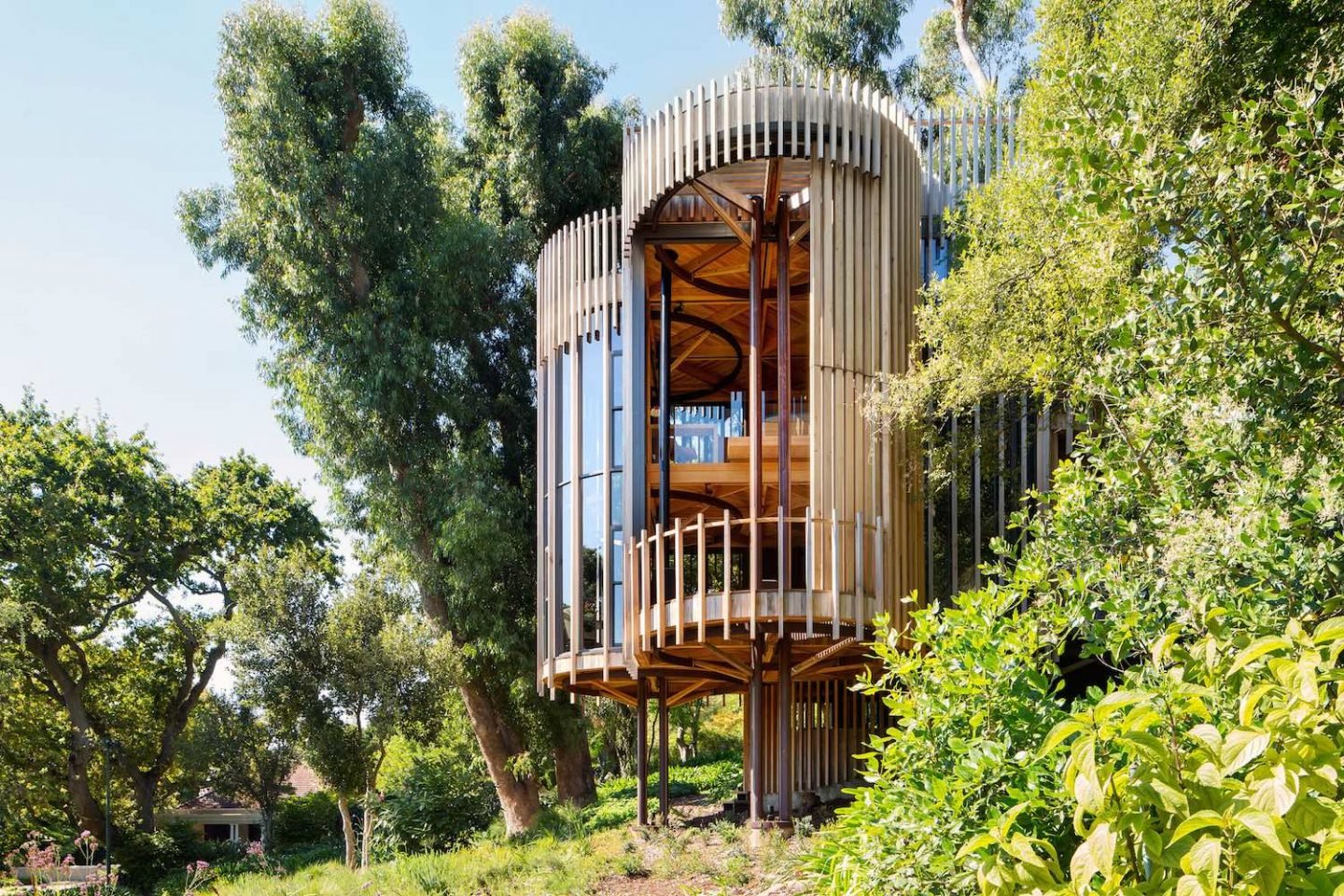 paarman-tree-house-by-mv-architecture-residential_dezeen_2364_col_10