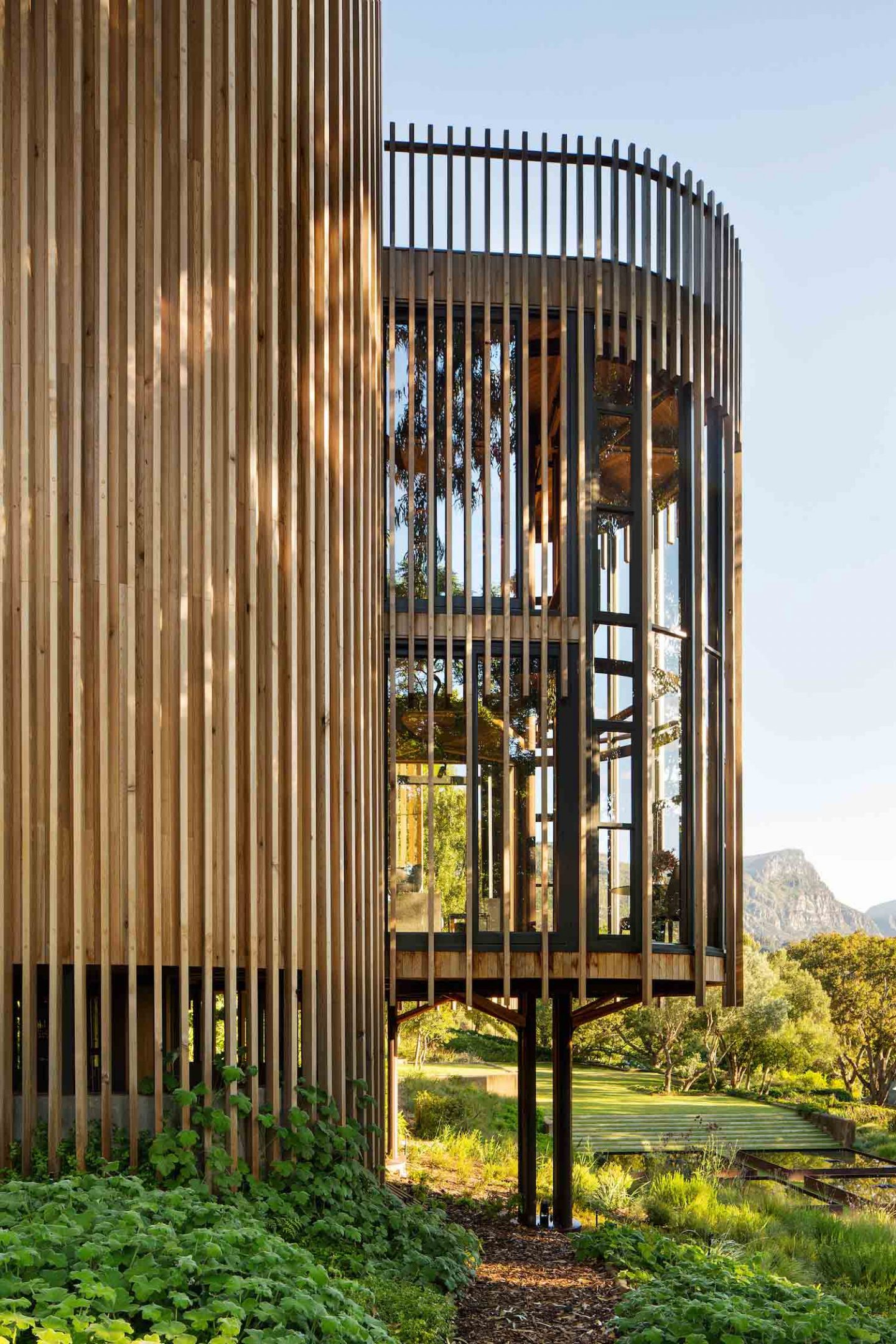 paarman-tree-house-by-mv-architecture-residential_dezeen_2364_col_13