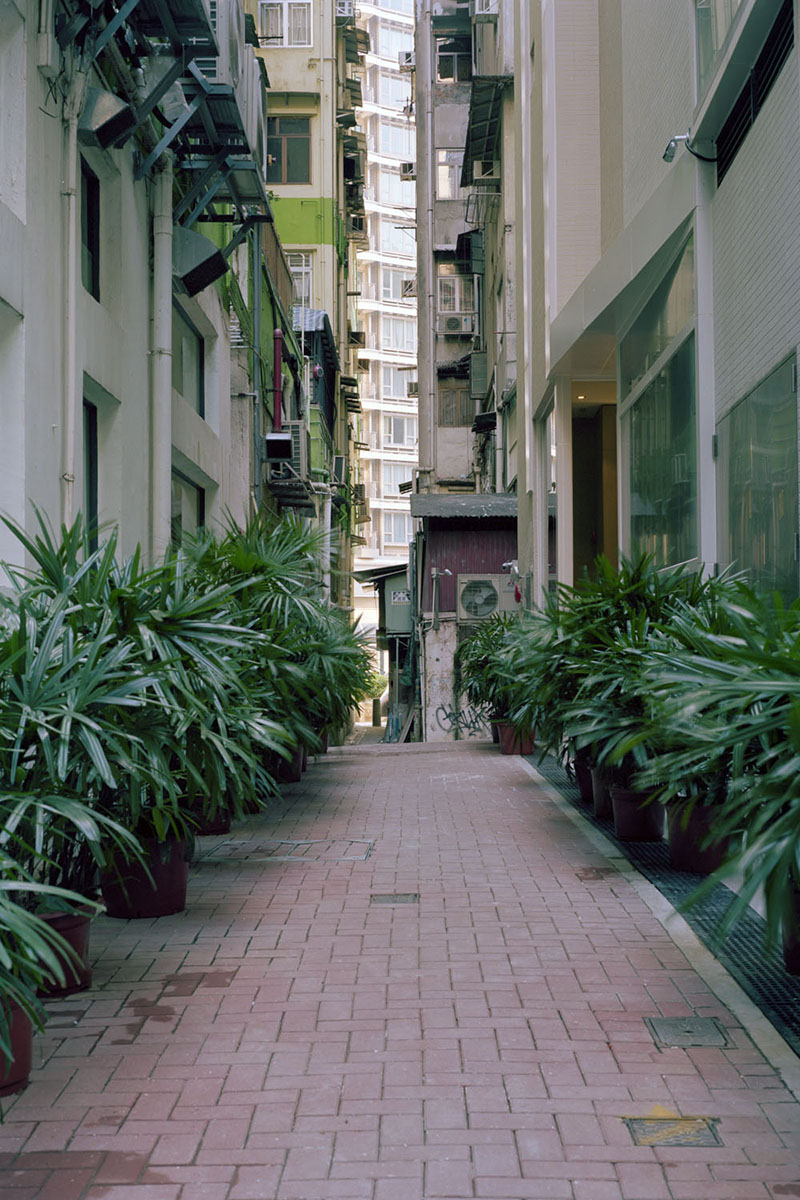 Hong Kong Alleys By Ajay Malghan