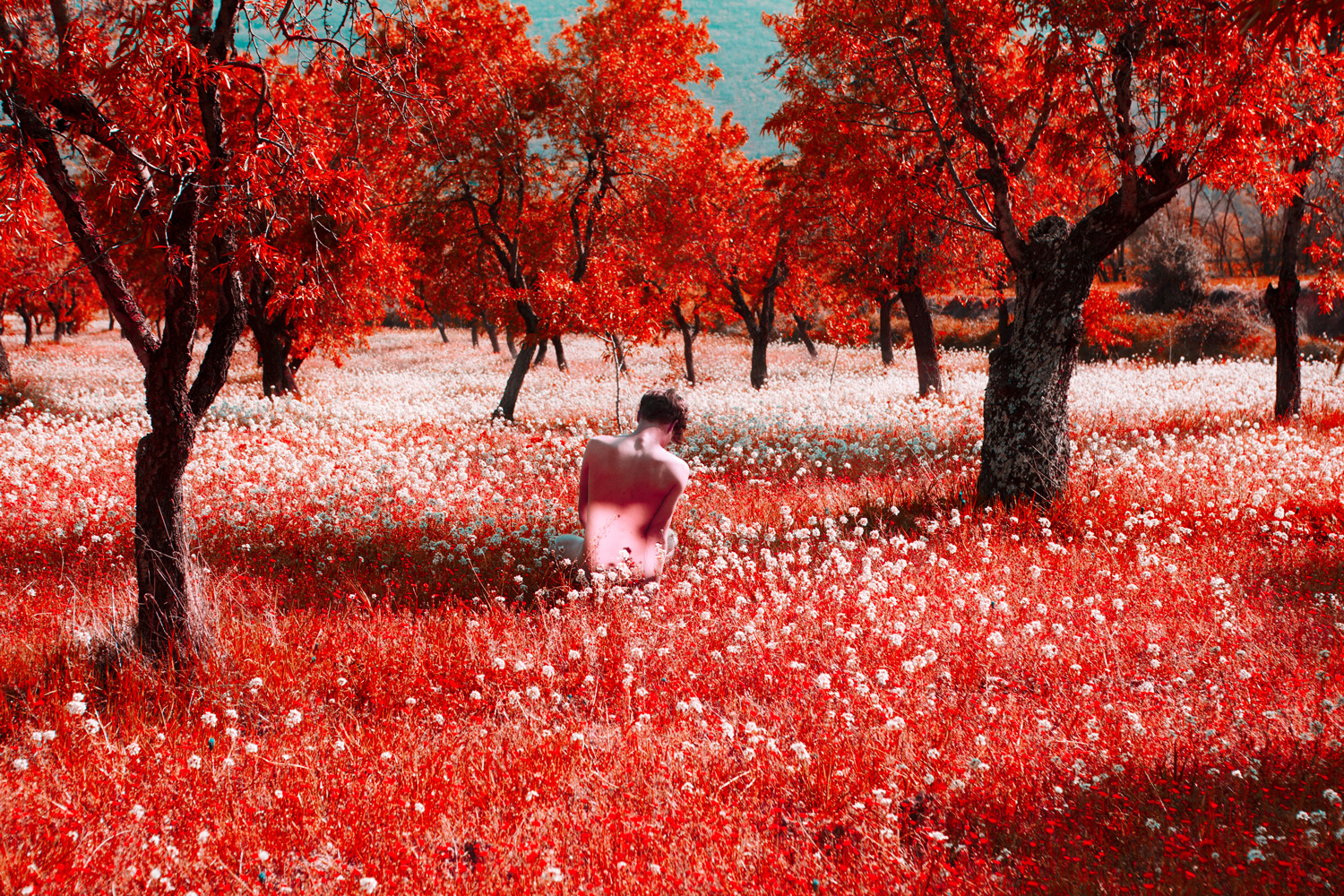 The Last Summer Of Reason By Anouk van Kalmthout