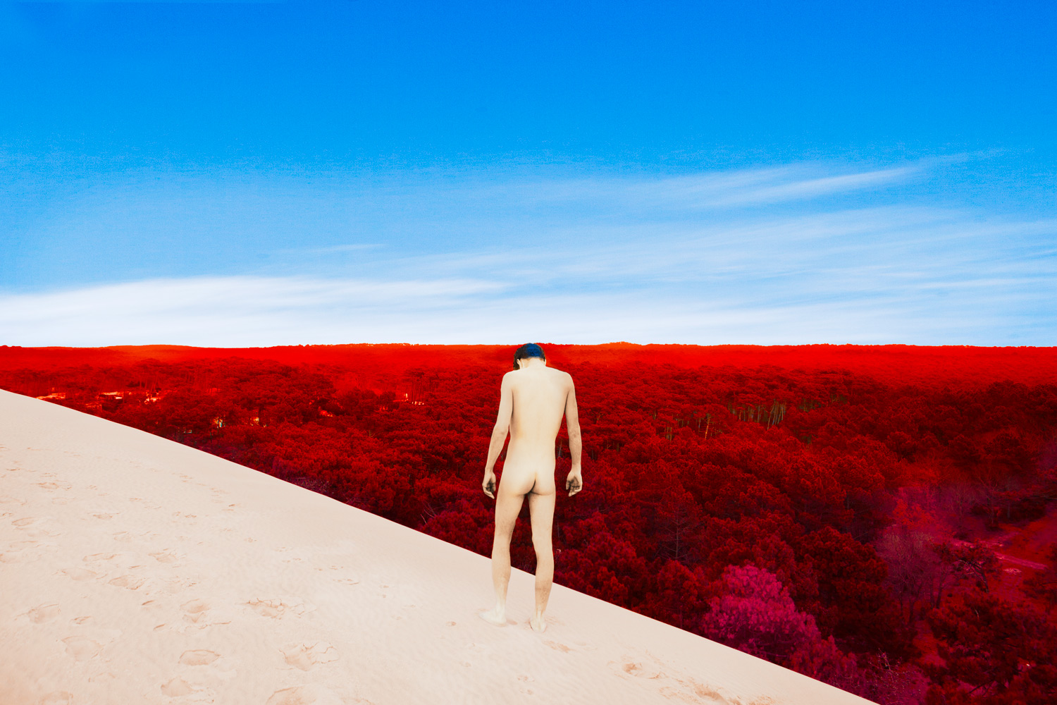 The Last Summer Of Reason By Anouk van Kalmthout