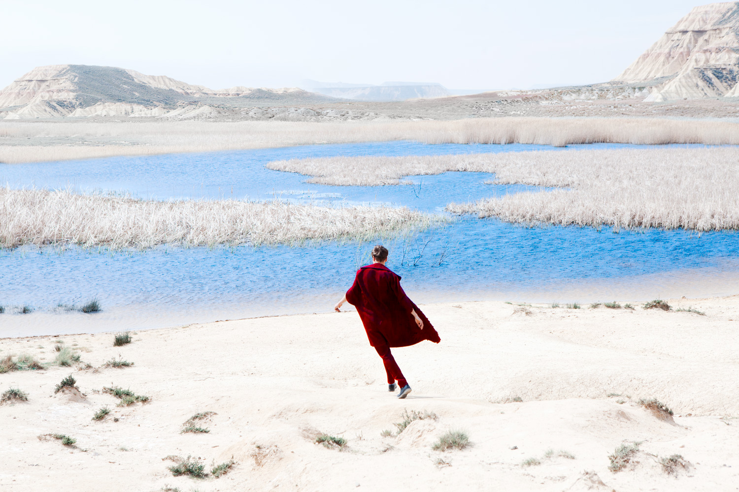 The Last Summer Of Reason By Anouk van Kalmthout
