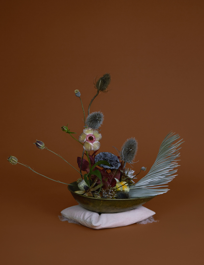 The Garden of Her Delights By Kate Cox