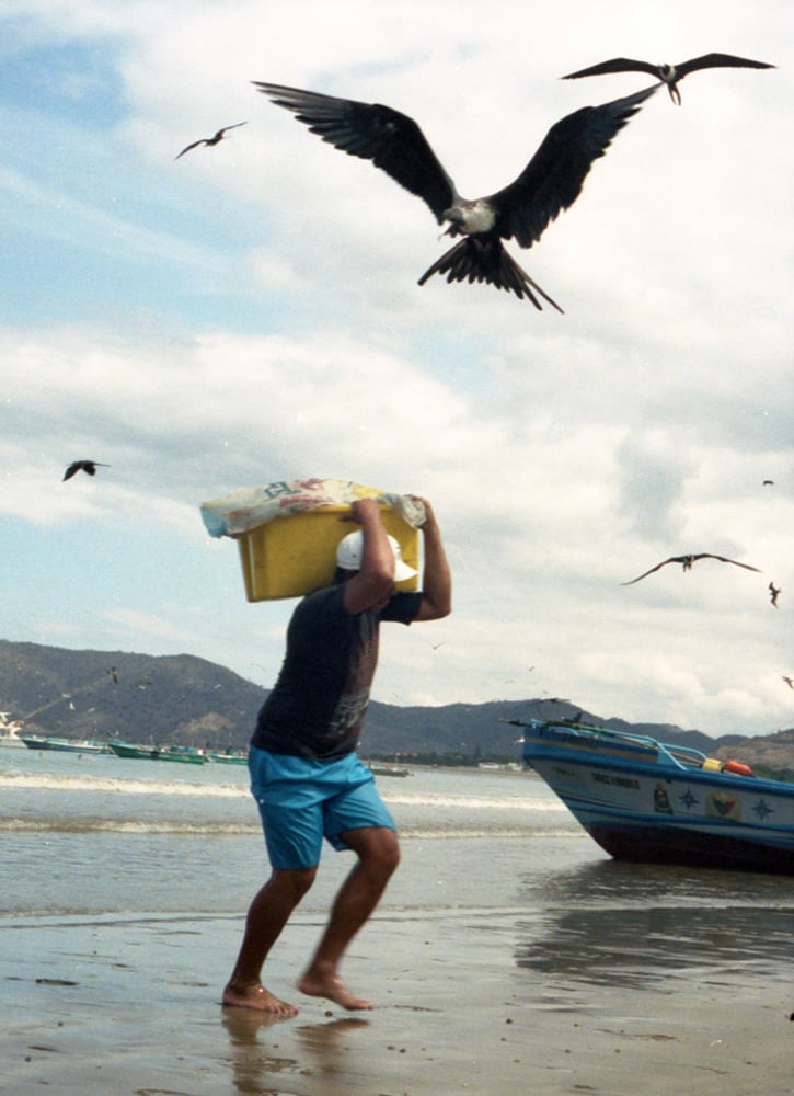 Coast Of Ecuador By Marija Vidovic
