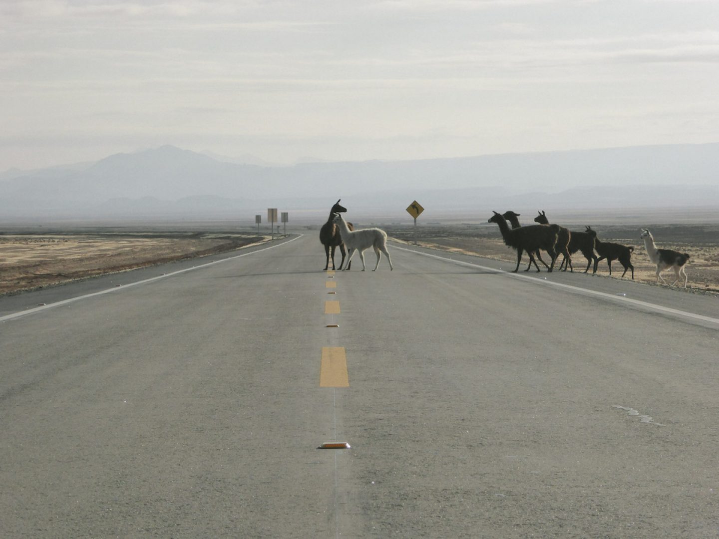 iGNANT_OnThe Road_Anke_Nunheim_Bolivia-21