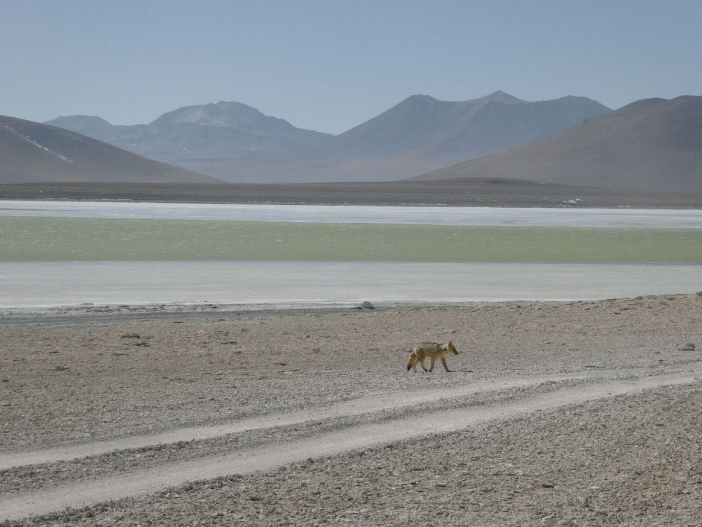 iGNANT_OnThe Road_Anke_Nunheim_Bolivia-3