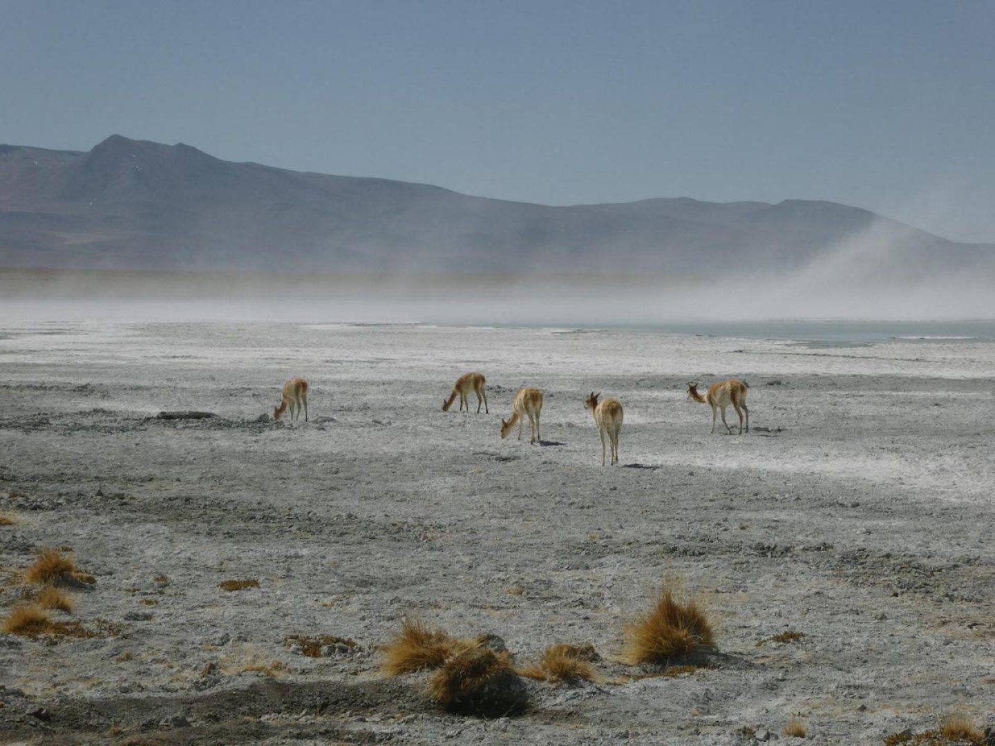 iGNANT_OnThe Road_Anke_Nunheim_Bolivia-5